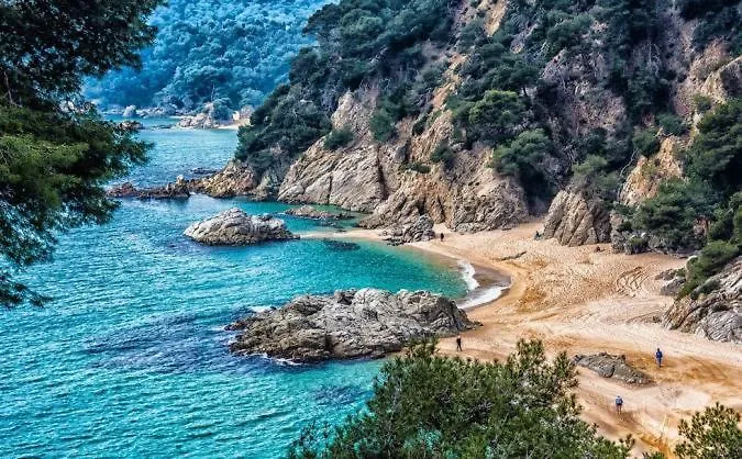 Al28 Duplex En La Playa, Fenals, Costa Brava Apartment Lloret de Mar 0*,  Spain